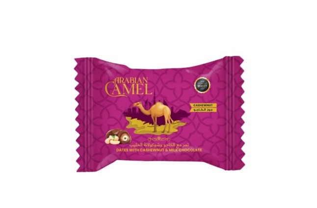 ARABIAN CAMEL