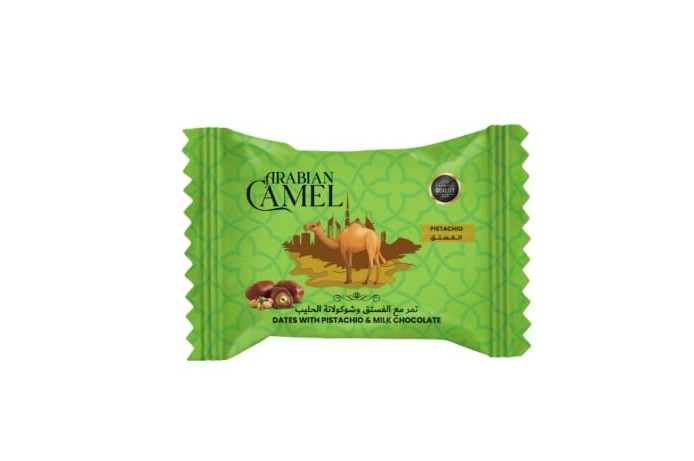ARABIAN CAMEL