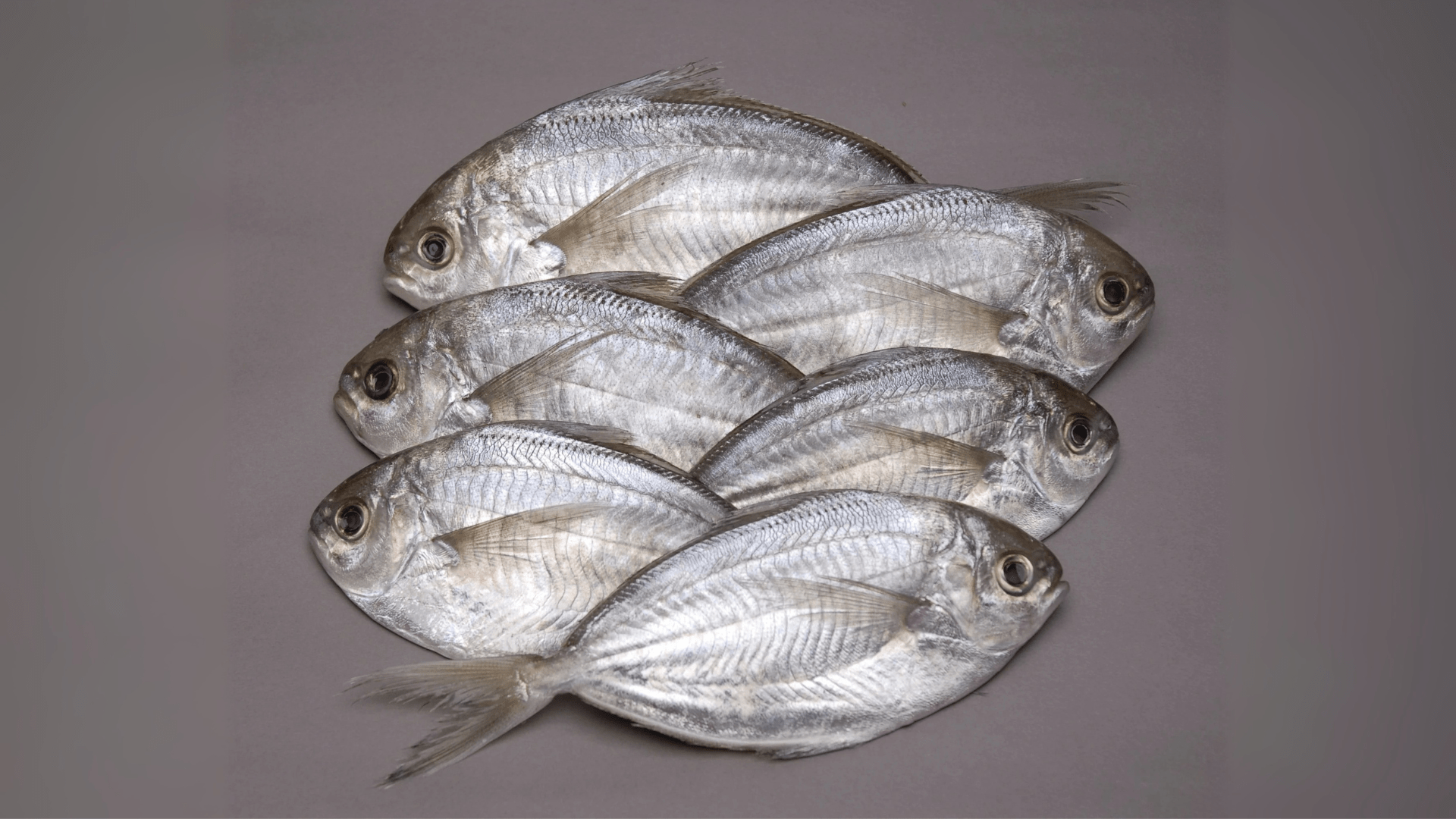 butterfish / പുന്നാരമീൻ- Cut & cleaned (1KG)